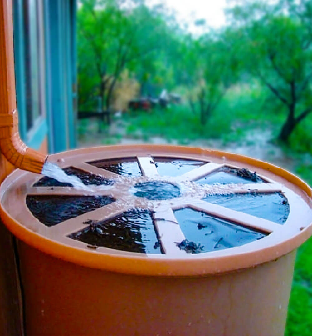 rain barrel connected to downspout